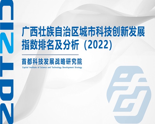 男女插进去啊啊啊爽歪歪了【成果发布】广西壮族自治区城市科技创新发展指数排名及分析（2022）